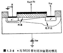 衬偏效应 体效应